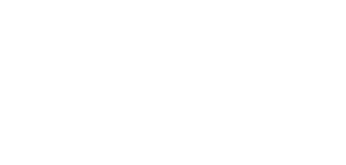 Shot