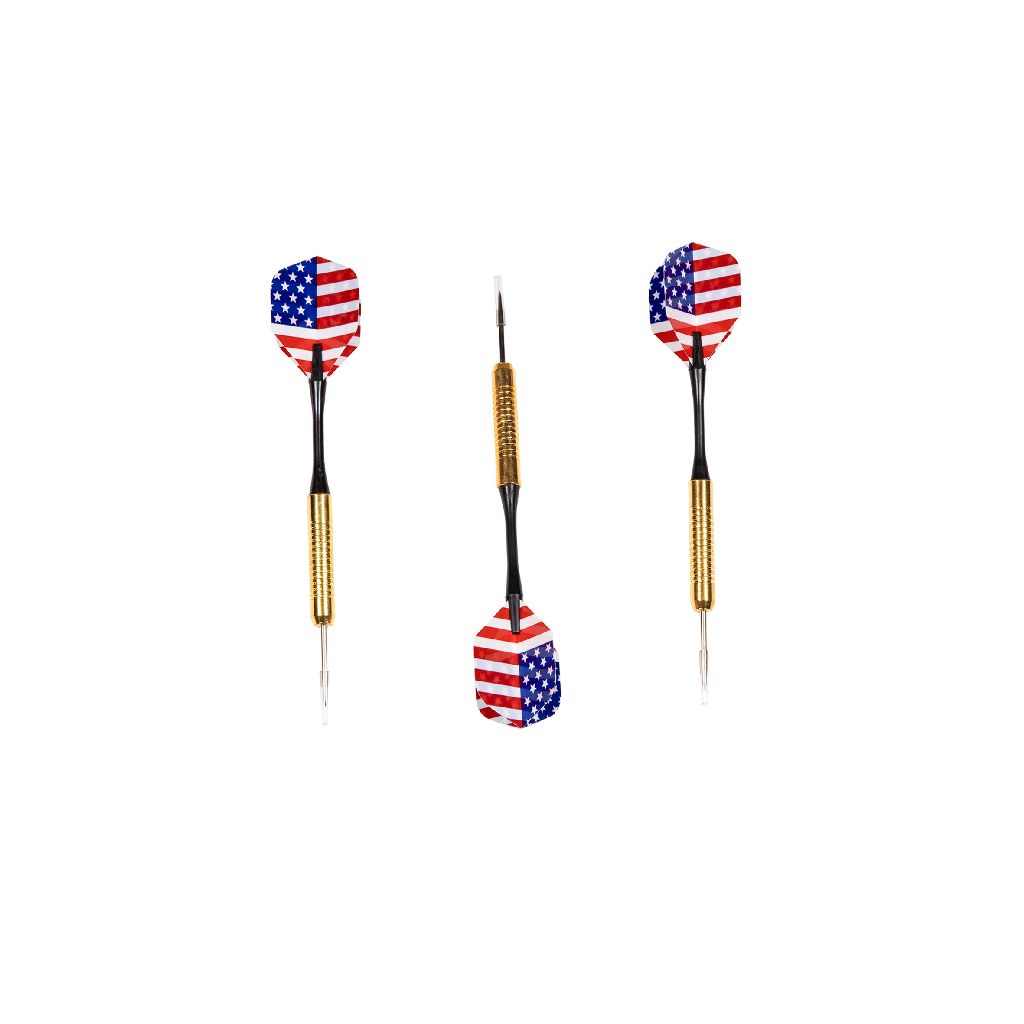 SportX Dartset in Case (detail 1)
