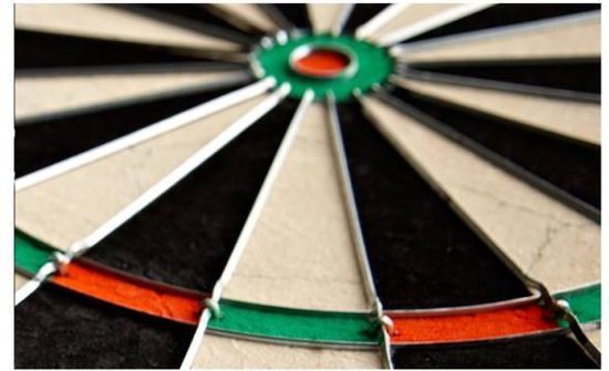 Winmau Diamond Plus - Professioneel Dartbord (detail 3)