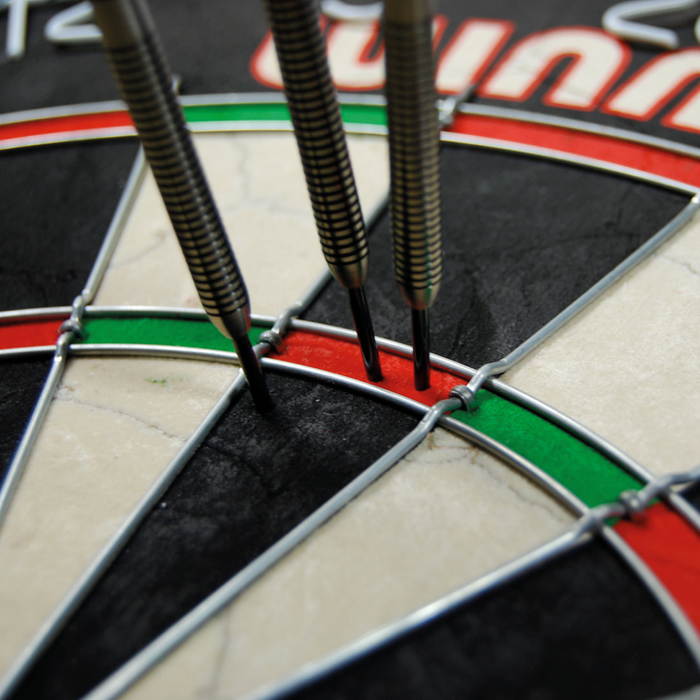 Winmau Pro SFB dartbord (detail 1)